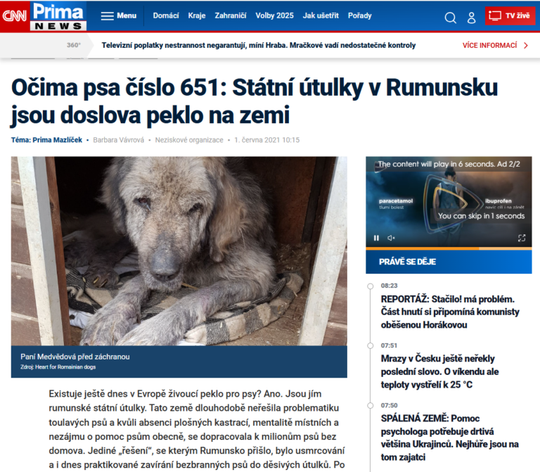 Heart for Romanian Dogs v médiích